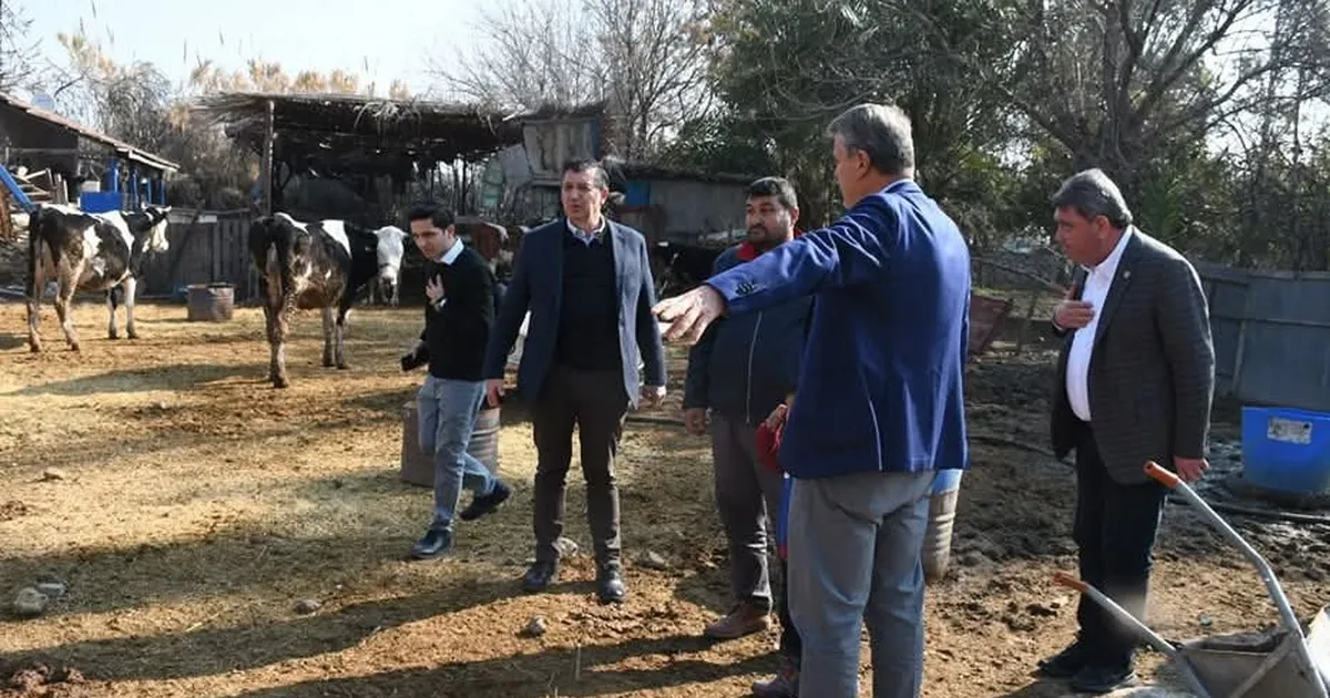 CHP’li Gaytancıoğlu’ndan Et İthalatına Sert Tepki