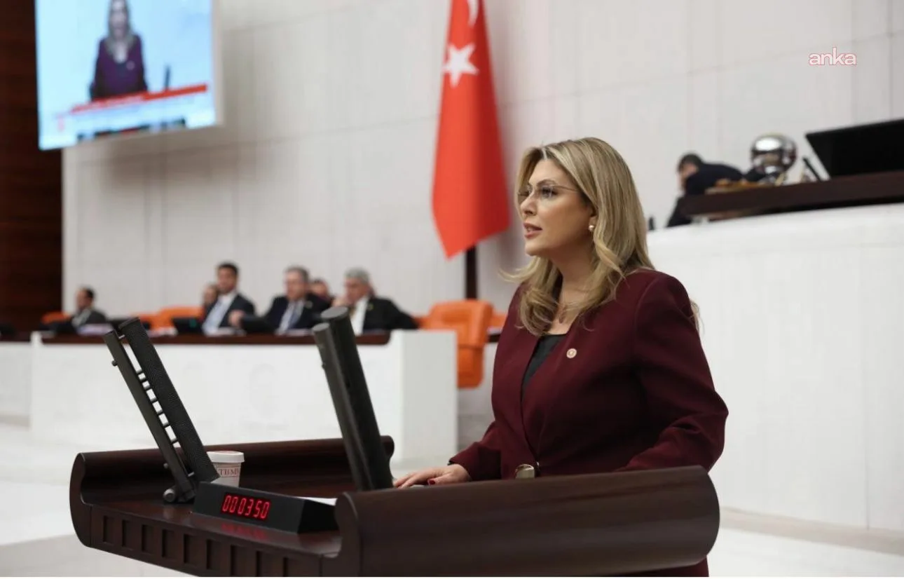 CHP’li Gezmiş: İddialar Gerçek Dışı!