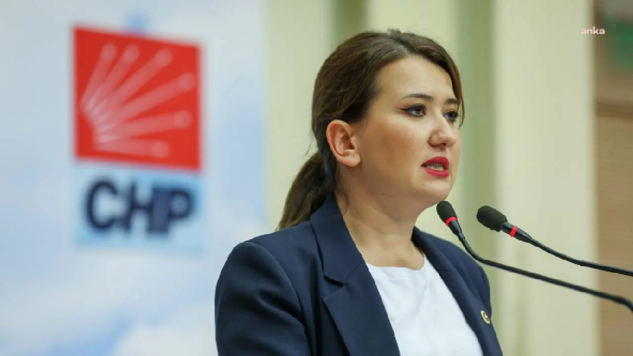 CHP’li Gökçen’den Erdoğan’a Eleştiriler!
