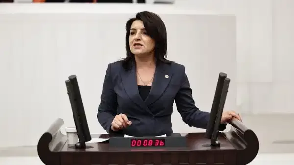 CHP’li Kış’tan Tapu Yasası’na Sert Eleştiriler