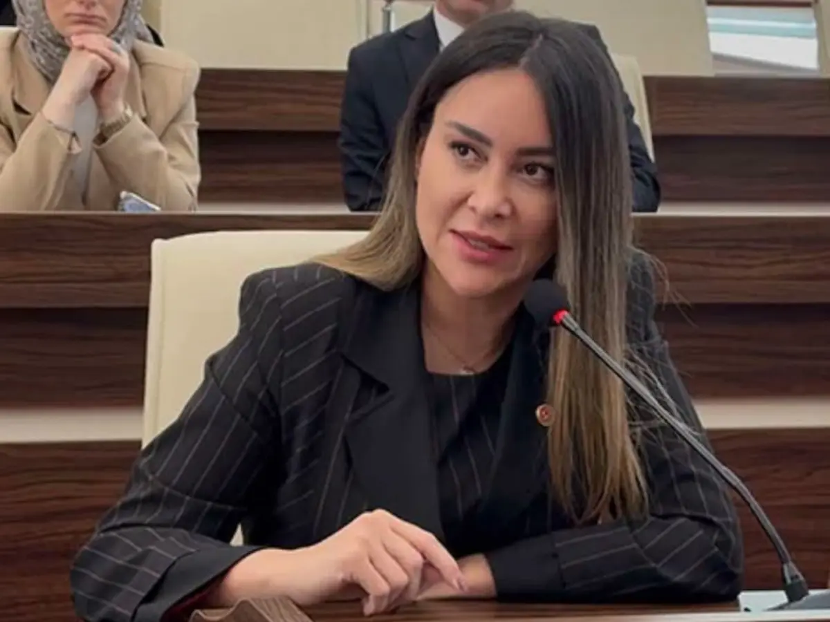 Şapkalılar suç örgütü dosyasında yeni gelişme! CHP'li Hülya Şimşek tutuklandı 2