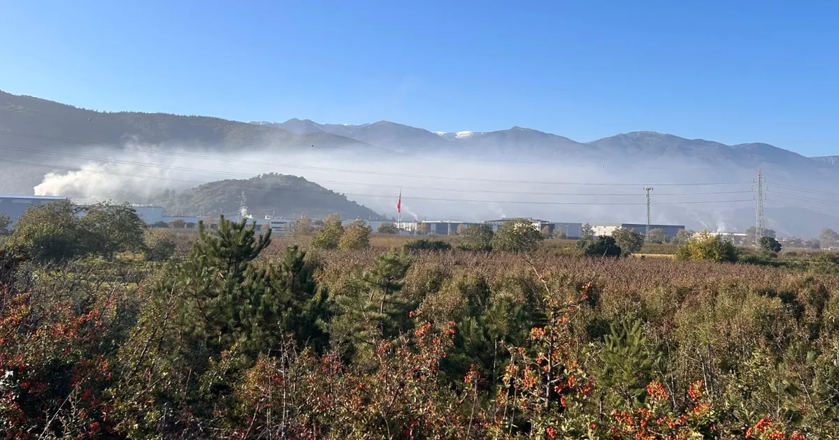 CHP’li Vekiller, Bursa’da Hava Kirliliğine Dikkat Çekti
