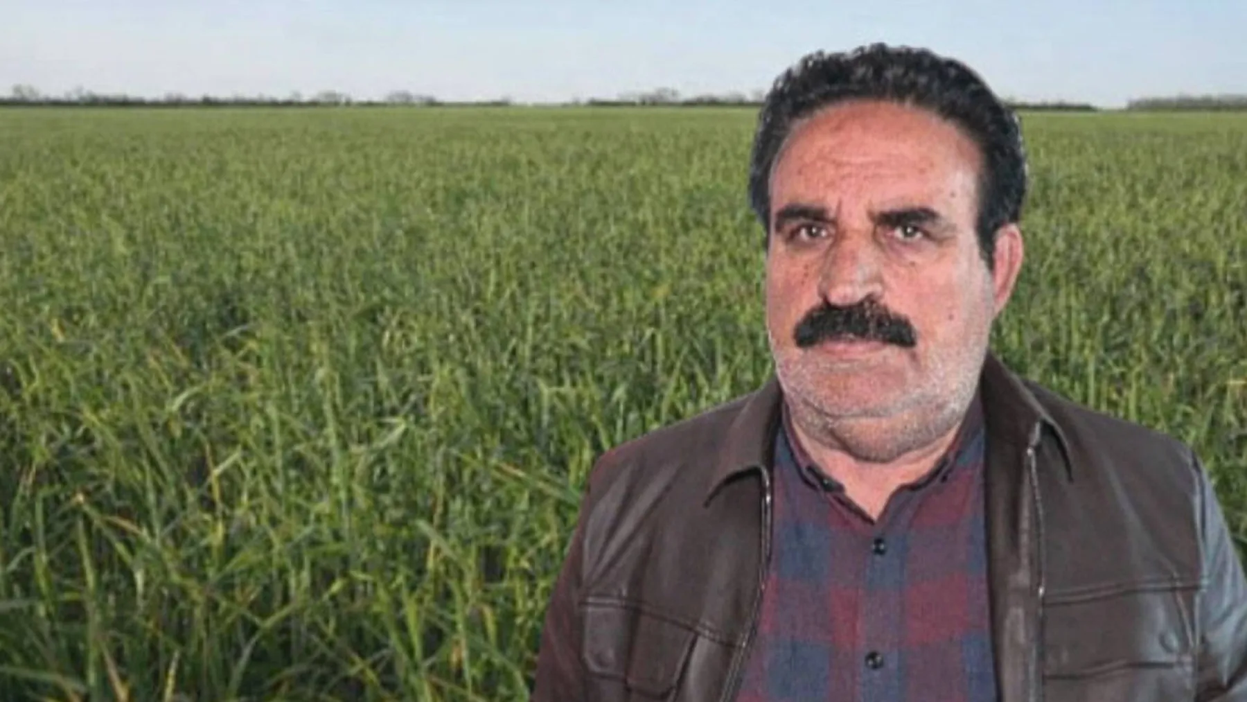 Çiftçi Tuğrul’un Tarlasına Zehirli İlaç Saldırısı!