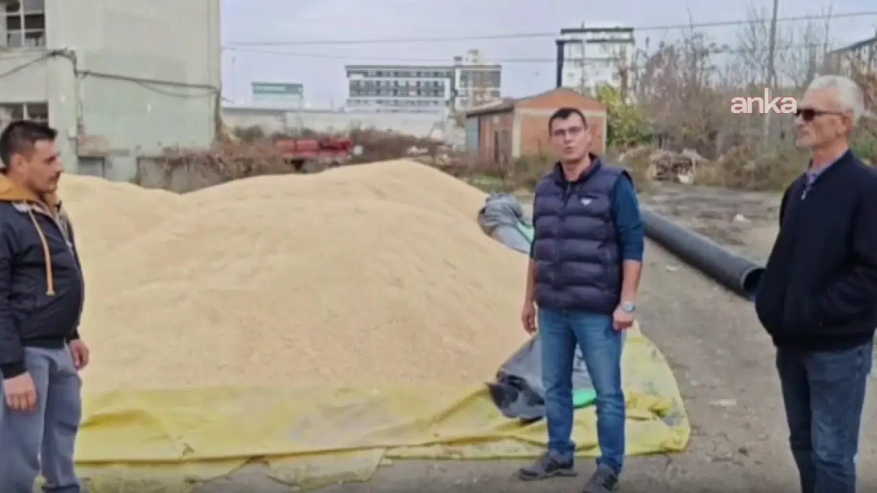 Çiftçiler TMO’nun Fiyat Açıklamasını Bekliyor!