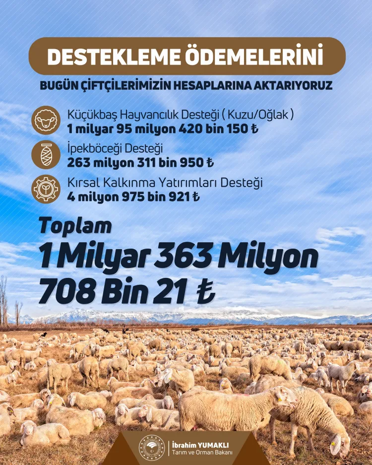 Çiftçilere 1.3 Milyar Lira Destek Ödemesi Başladı