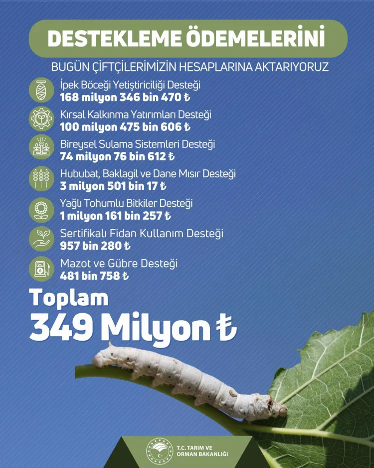 Çiftçilere 349 Milyon TL Destek Ödemesi!