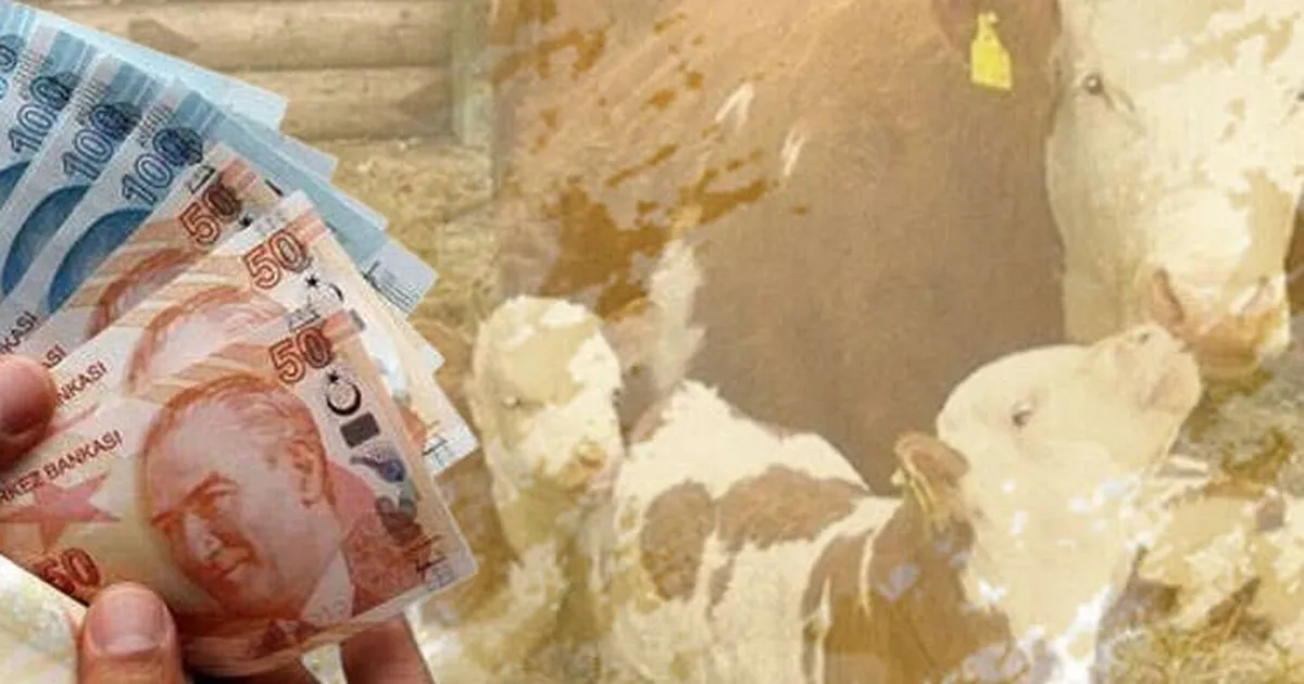 Çiftçilere 350 Milyon Lira Destek Ödemesi!