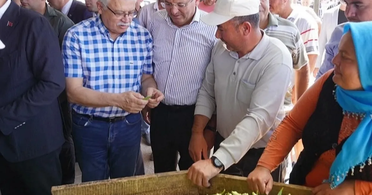 Çiftçilere Özel Destekle Tarımda Bereket Dönemi