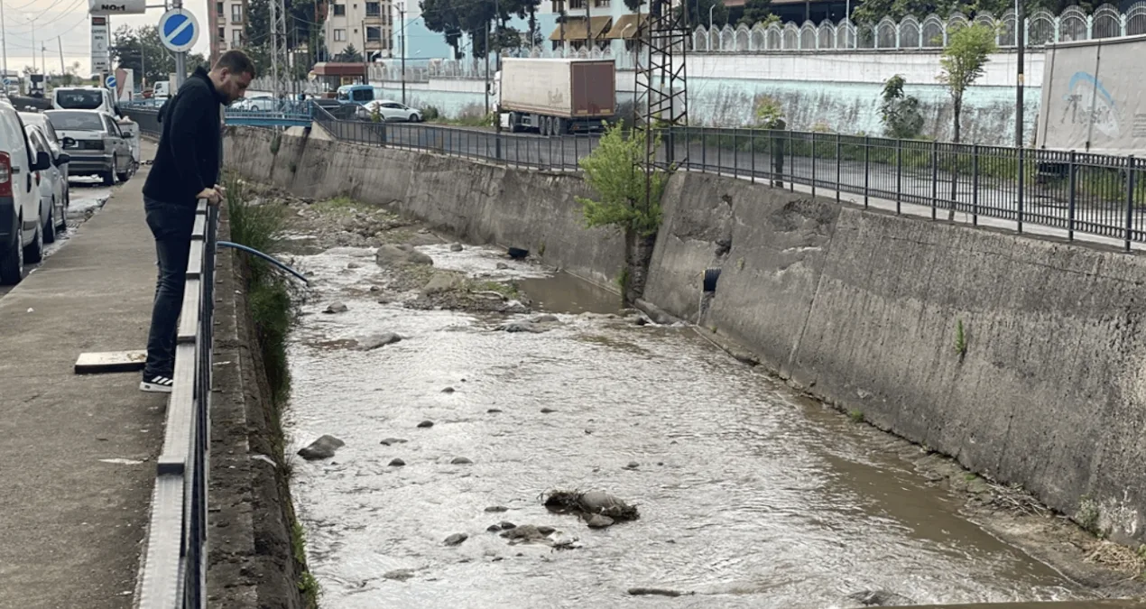 Çiftekavak’ta Balık Ölümleri Korkuttu!