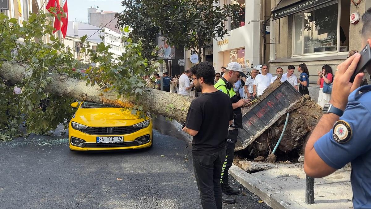 Çınar Ağacı Taksinin Üzerine Devrildi!
