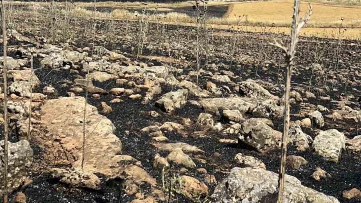 Çınar’da Ekili Arazide Yangın: Mücadele Devam Ediyor