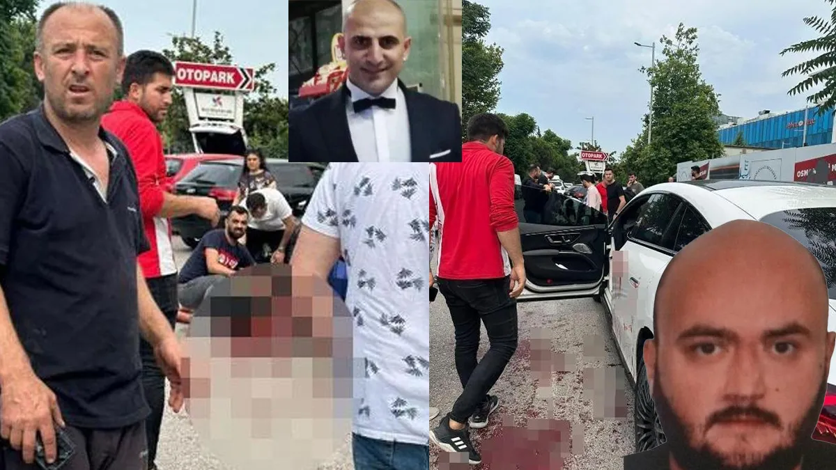 Cinayet ve Kayıp Çekler: Olayın Detayları!