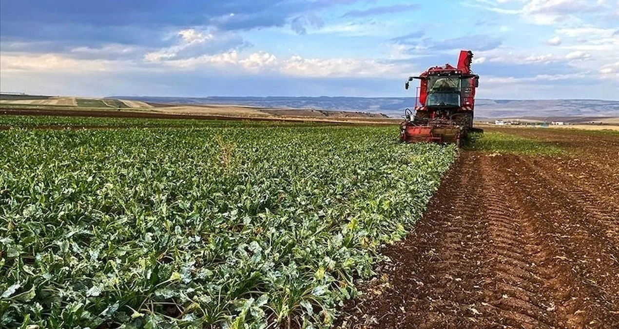 ÇKS Başvuruları Yılsonunda Sona Erecek!