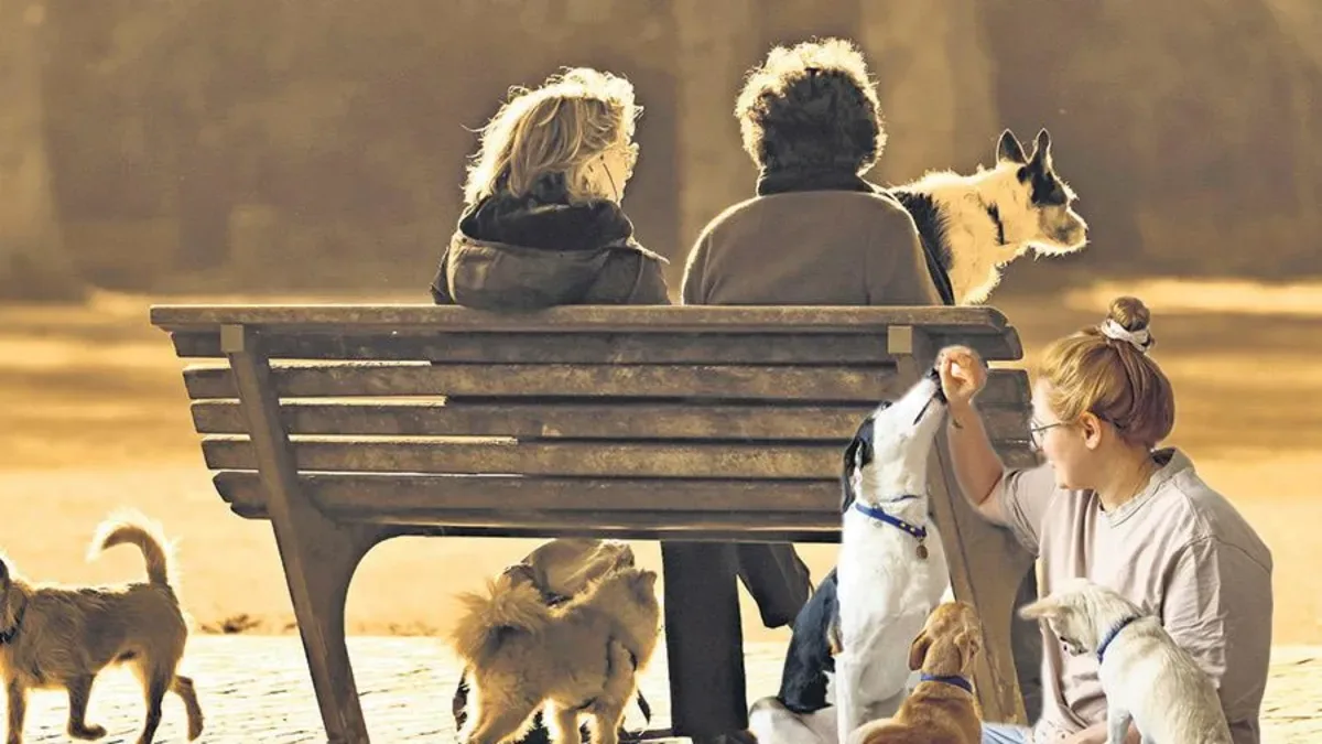 Çocuğun Yerine Köpek: Şaşırtan Değişim!