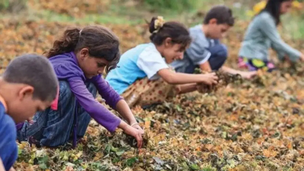 Çocuk Hakları İhlalleri: Türkiye’nin Karanlık Tablosu
