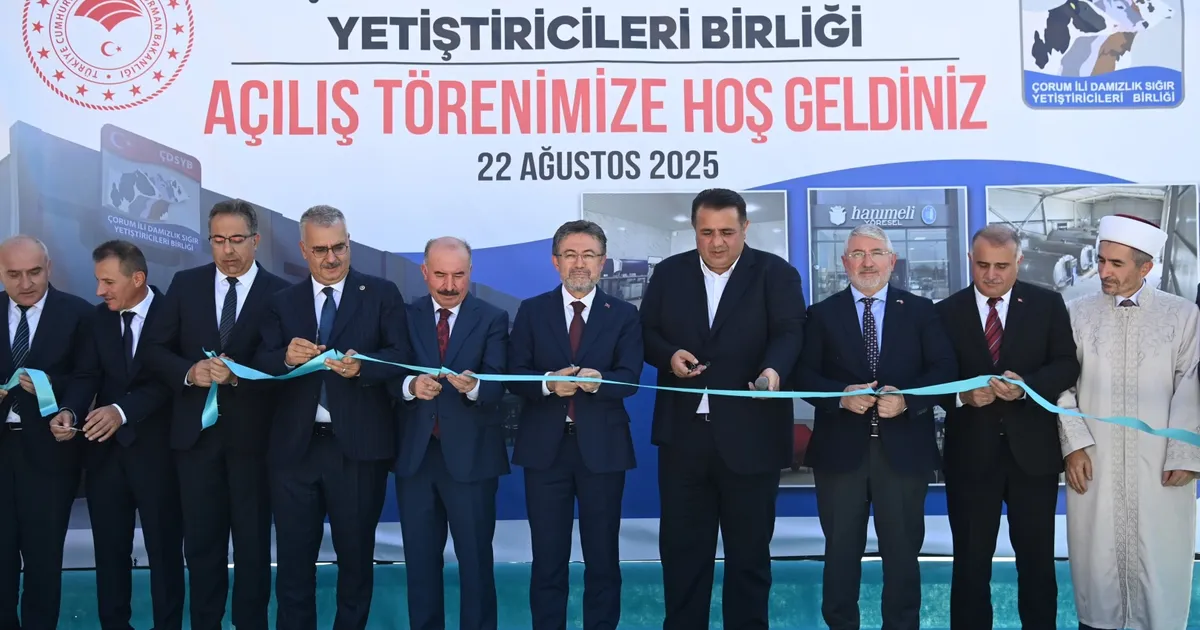 Çorum’da Hayvancılığa Büyük Destek Geldi!