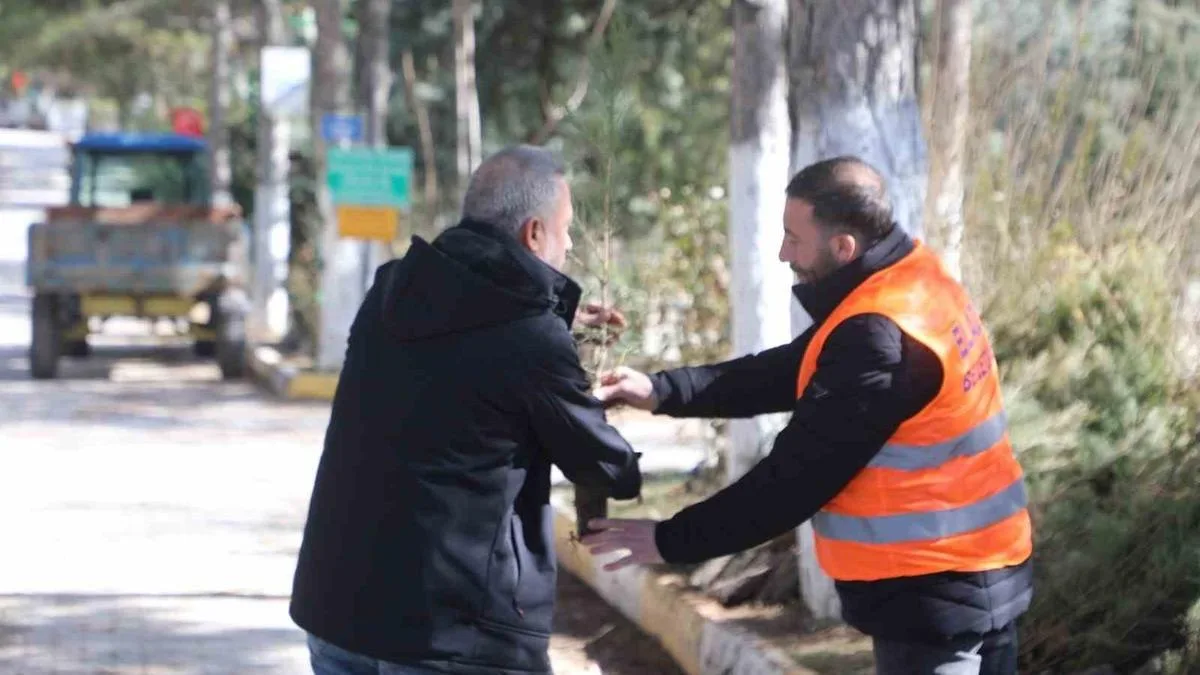 Çukurca’da Trafik Kazası: 2 Yaralı