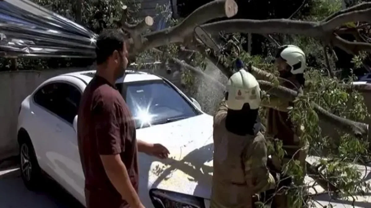 Çürük Ağaç Otomobilin Üzerine Düştü!
