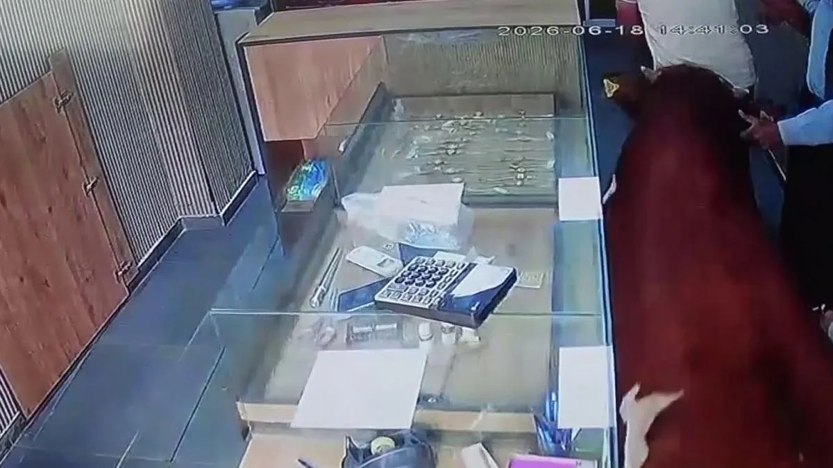 Dana kuyumcu dükkanında paniğe neden oldu!