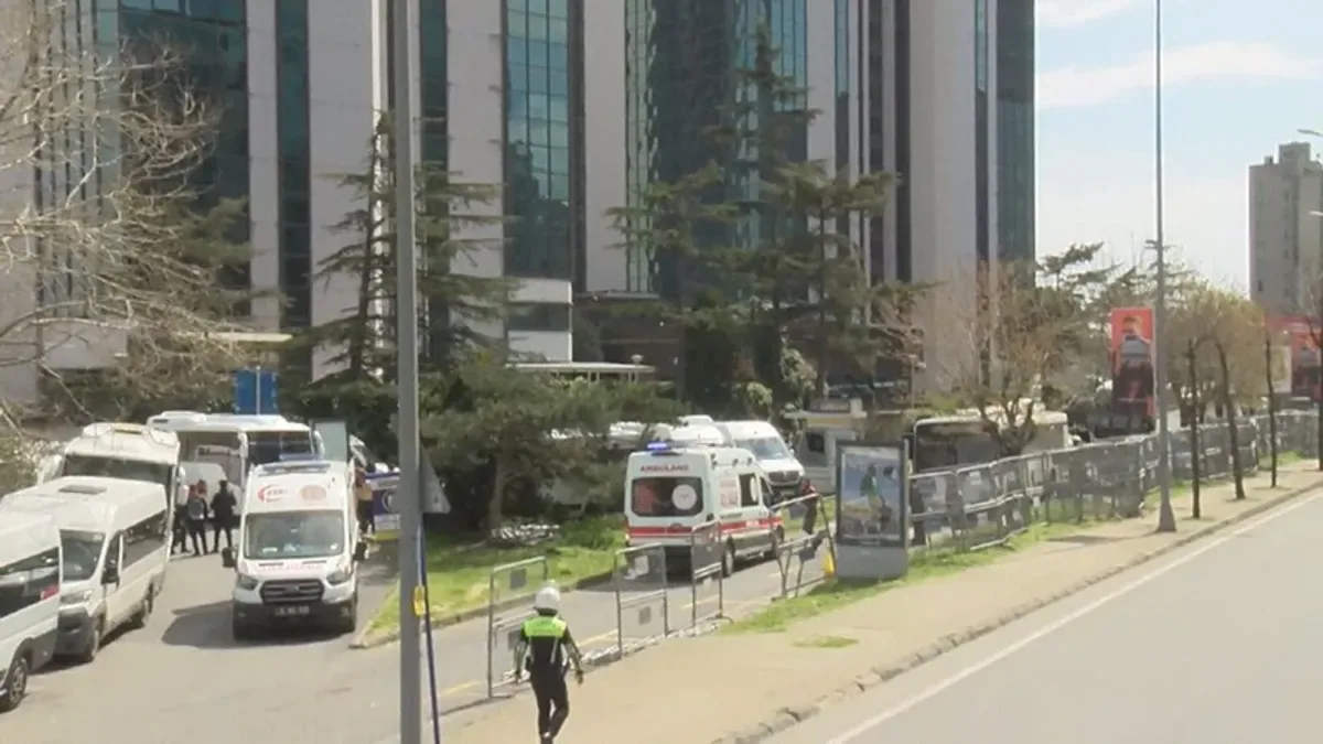 Defalarca Keşif: Sırları Ortaya Çıktı!
