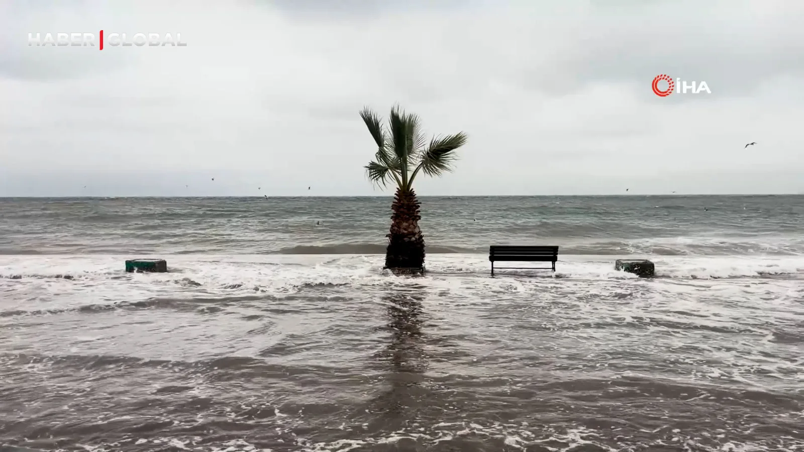 Denizle Kara Birleşti: Bursa’da Fırtına Felaketi!