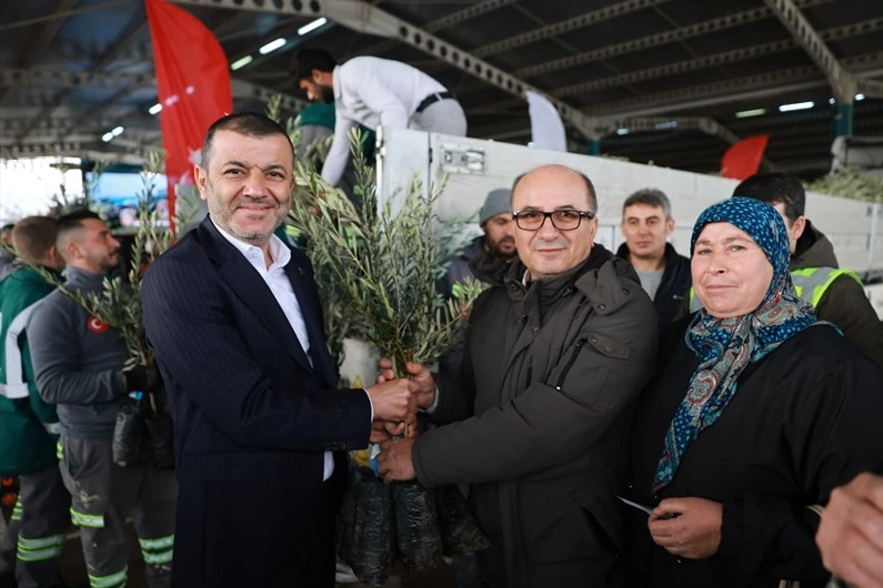 Denizli’de 84 Bin Sertifikalı Zeytin Fidanı Dağıtıldı!