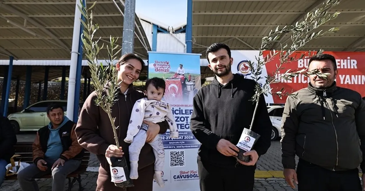 Denizli’de Üreticilere Zeytin Fidanı Desteği!