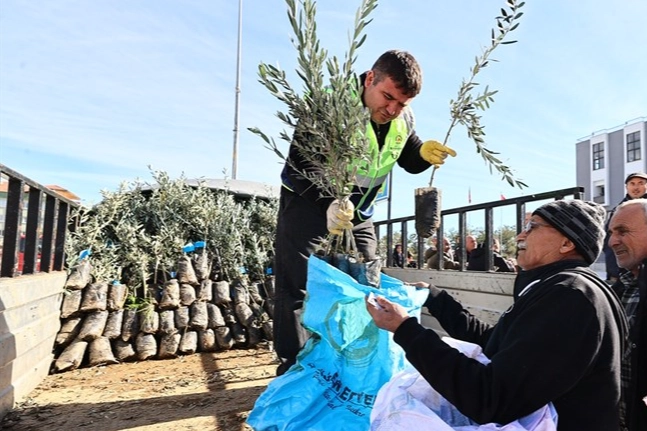 Denizli’de Üreticiye Zeytin Fidanı Desteği!