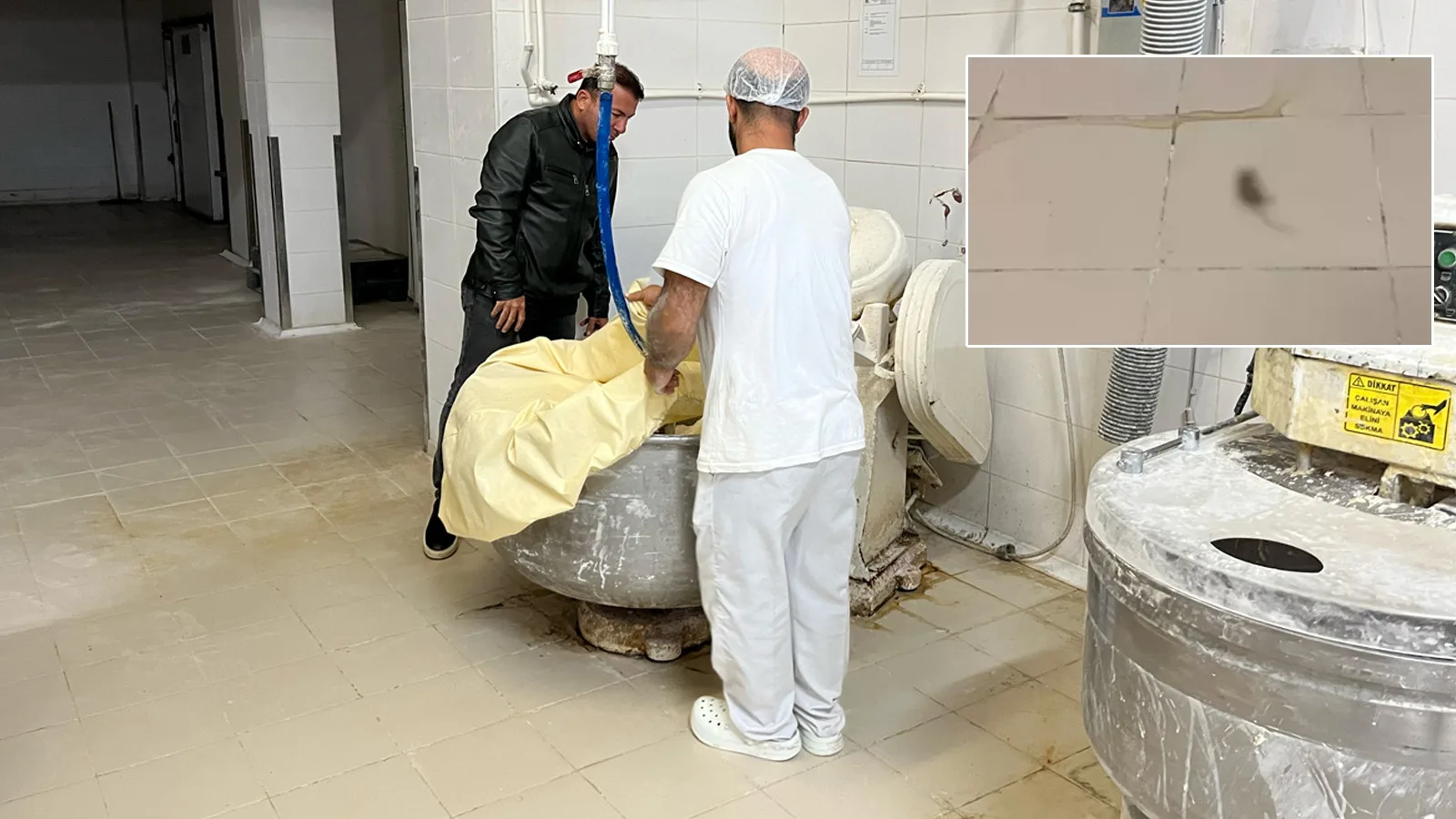 Denizli Halk Ekmek Fabrikasında Fare Skandalı!