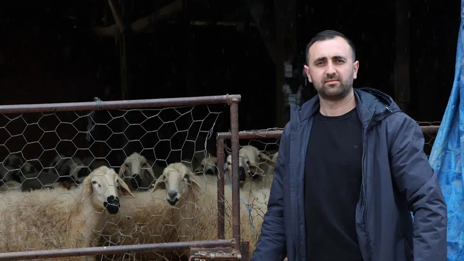 Devlet Desteğiyle 400 Koyuna Ulaşan Çiftçi