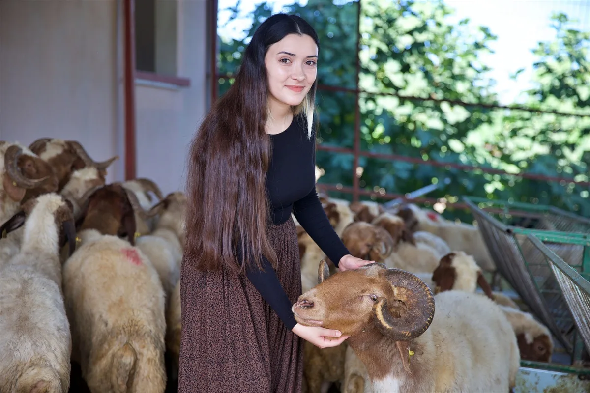 Devlet Desteğiyle Hayvancılığa Adım Attı!