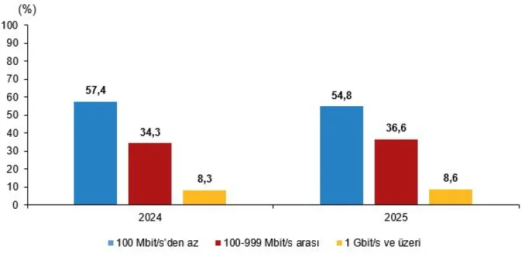 Dijitalleşmede Türk Girişimlerinin İlerleyişi