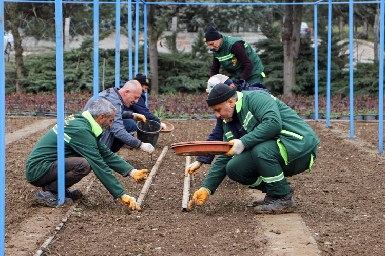 Diyarbakır’da 25 Bin Gül Fidanı Yetiştirilecek!