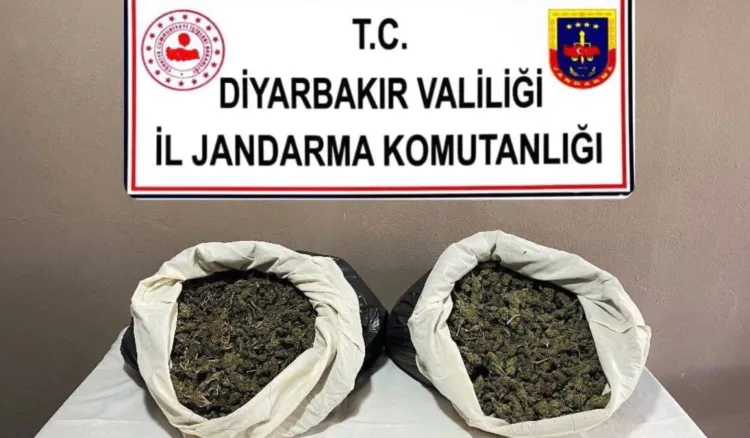 Diyarbakır’da 5 Ton Esrar İmha Operasyonu!