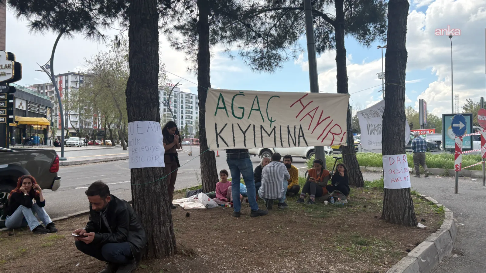 Diyarbakır’da Ağaç Sökümüne Tepkiler Büyüyor!