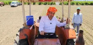 Saruhanlı Belediye Başkanı Ekrem Cıllı üzüm hasadında elini makineye kaptırdı