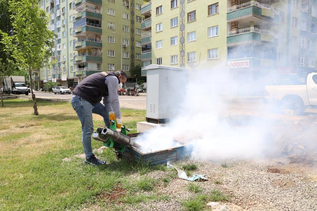 Diyarbakır’da Haşereyle Mücadele Aralıksız Devam Ediyor