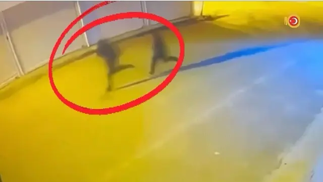 Eylemleri deşifre edildi! Diyarbakır da operasyon: 40 gözaltı, 15 tutuklama 3