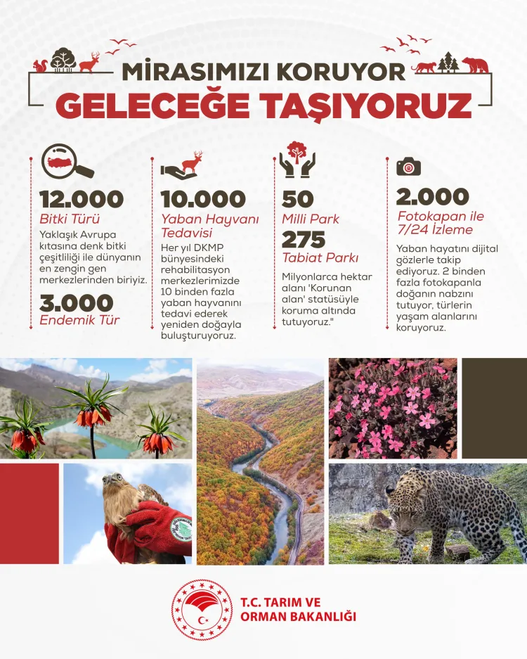 Doğal Zenginliklerimizi Gelecek Nesillere Koruyalım