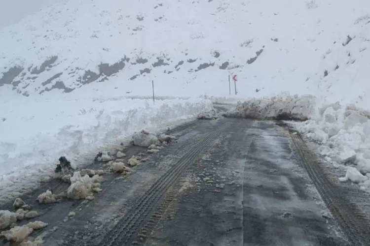 Doğu Anadolu’da Kar Yağışı Etkili Olmaya Devam Ediyor