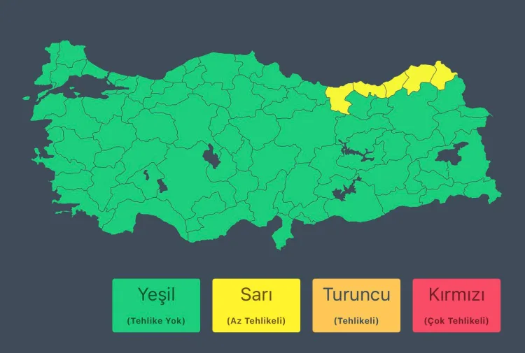 Doğu Karadeniz İçin Kuvvetli Yağış ve Kar Uyarısı!