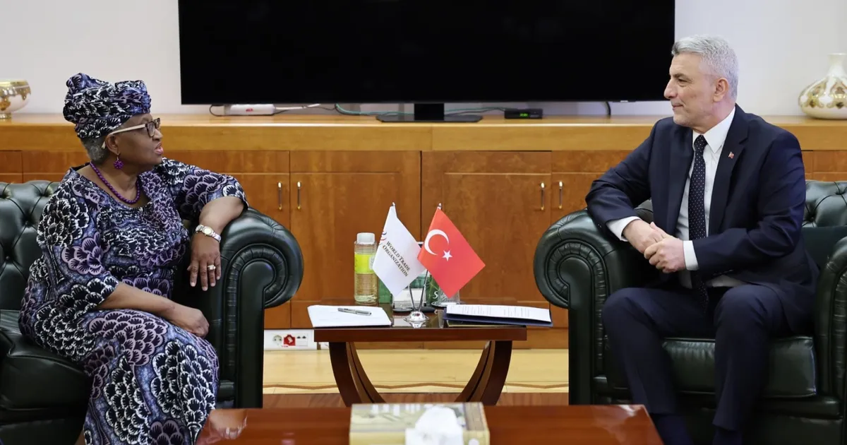 DTÖ Genel Direktörü Türkiye’de Küresel Ticaret İçin Toplandı