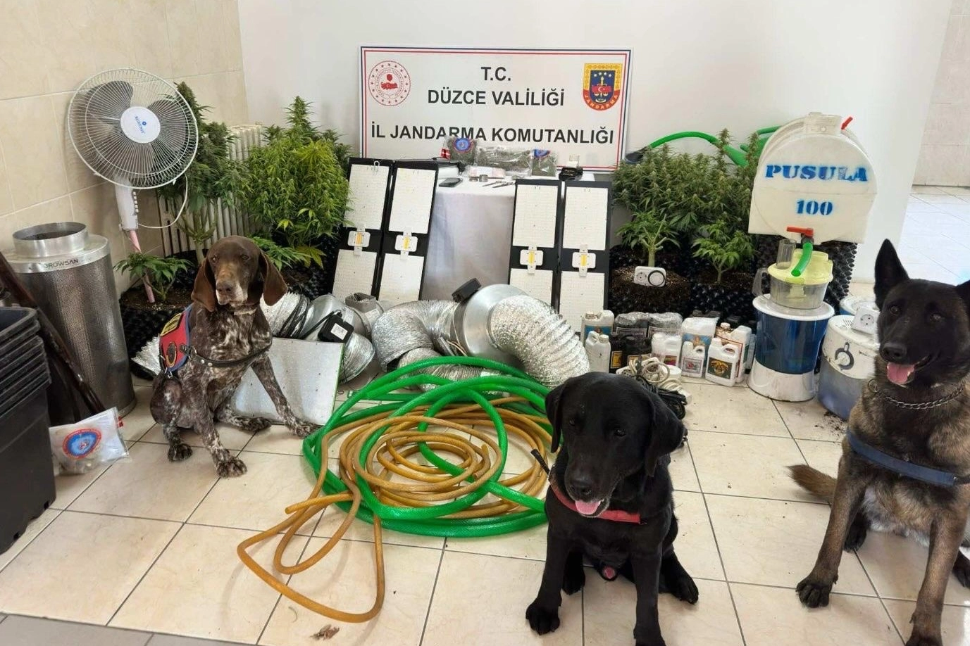 Düzce’de Uyuşturucu Operasyonu: 1 Gözaltı!