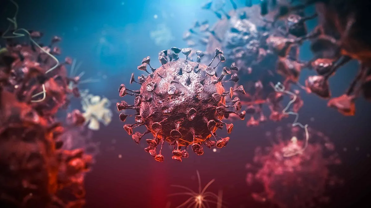 Ebola Salgını Kongo’da Can Almaya Devam Ediyor