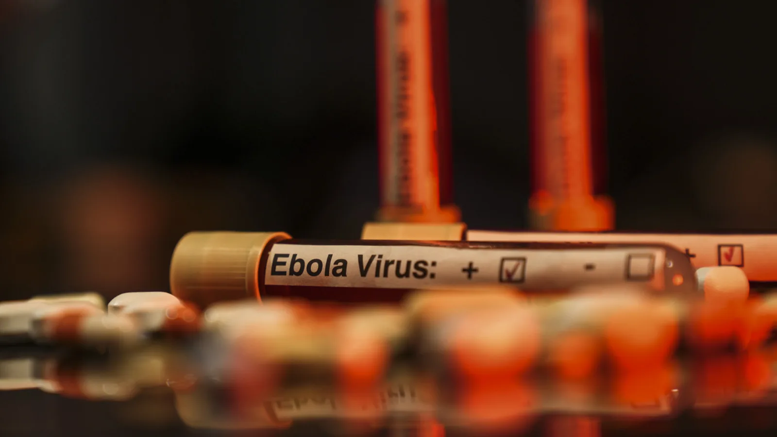 Ebola Salgını: Ölü Sayısı 2 Bini Geçti!
