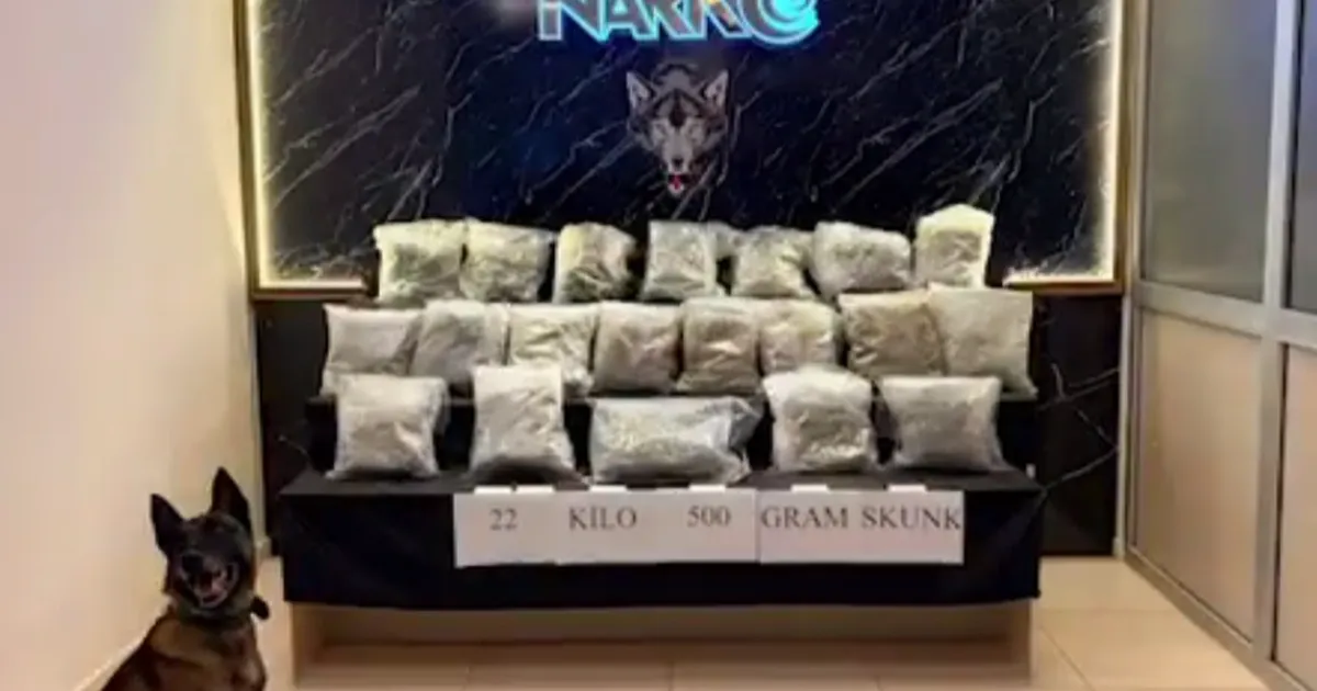 Edirne’de 22.5 Kilo Skunk Ele Geçirildi!