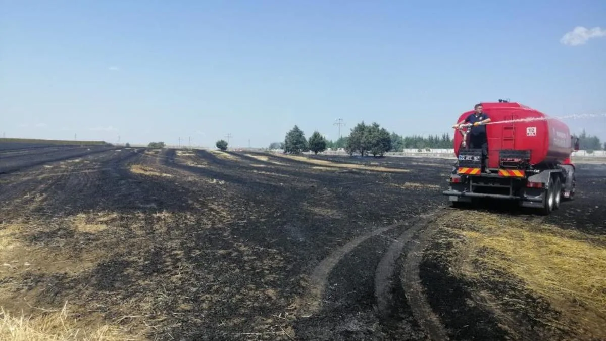 Edirne’de Buğday Tarlasını Kül Eden Yangın!