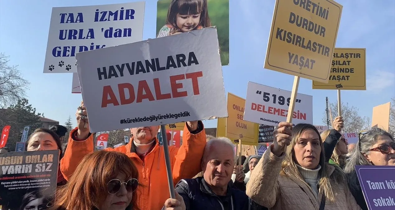 Edirne’de Hayvan Barınağındaki Skandal Soruşturuluyor