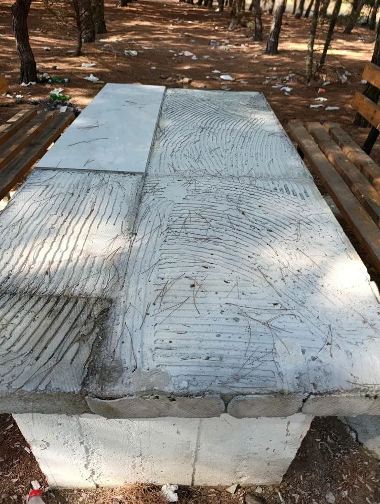 Edirne’de Piknik Alanında Vandalizm Şoku!