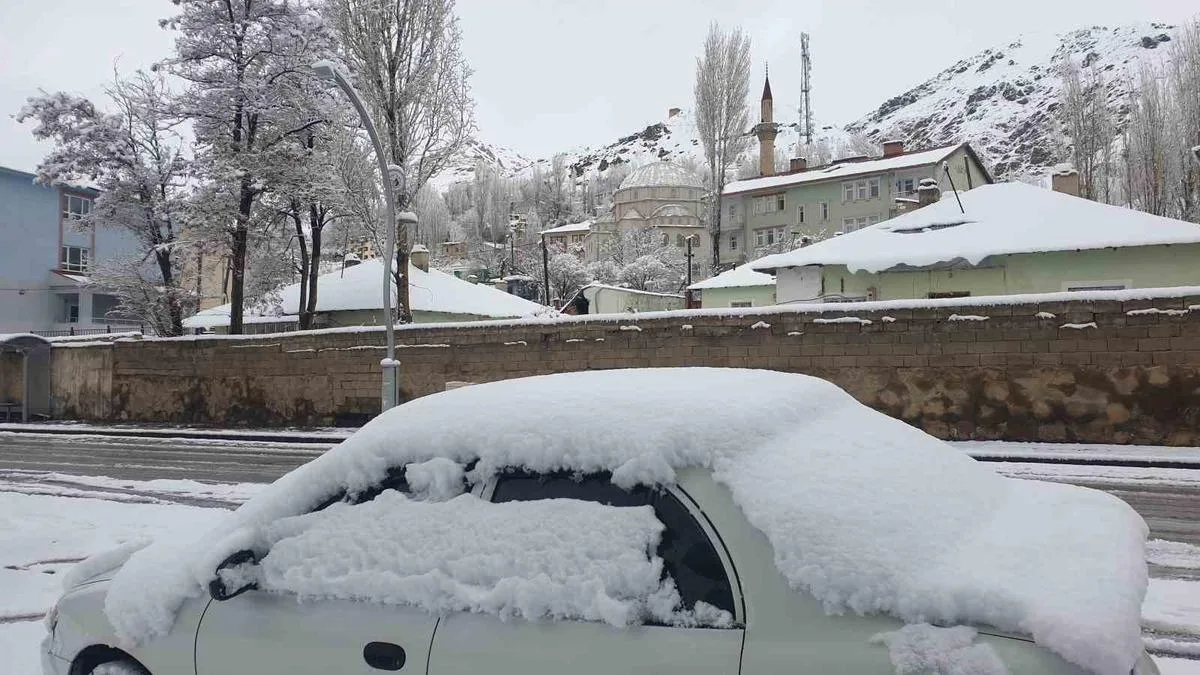 Ehliyetsiz Sürücüyle Kaza: 1 Yaralı!